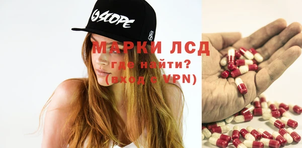 шишки Абаза