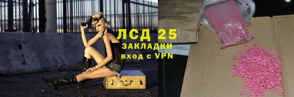 шишки Абаза