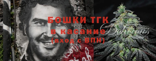 шишки Абаза