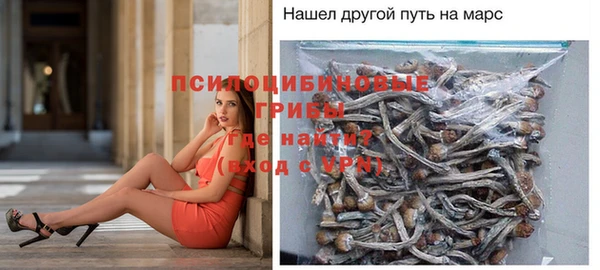 дурь Алексин