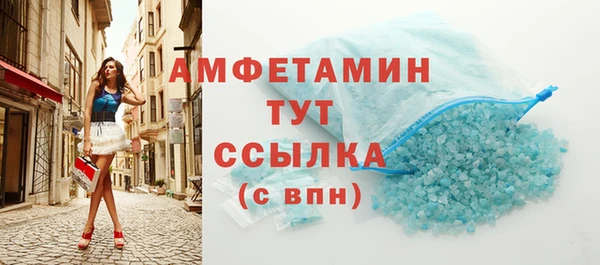 шишки Абаза