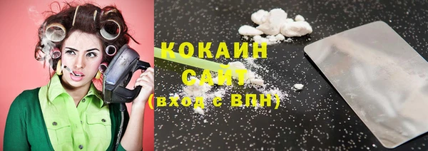 шишки Абаза